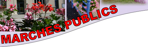 MARCHES PUBLICS