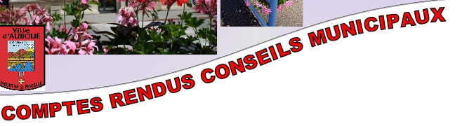 COMPTES RENDUS CONSEILS MUNICIPAUX