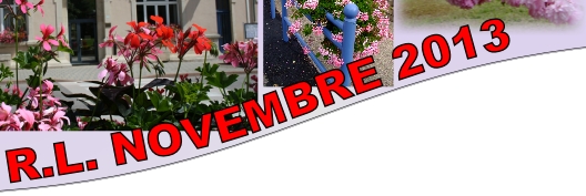 R.L. NOVEMBRE 2013