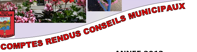 COMPTES RENDUS CONSEILS MUNICIPAUX