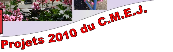 Projets 2010 du C.M.E.J.