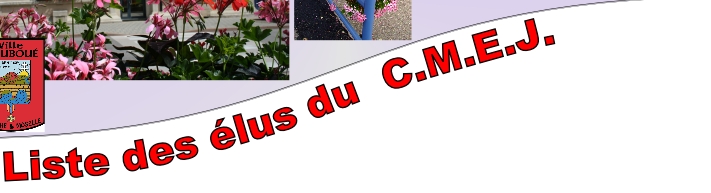 Liste des élus du 	C.M.E.J.